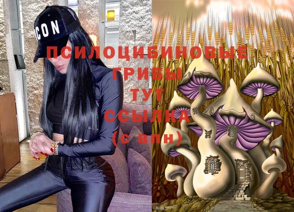 МДМА Горняк